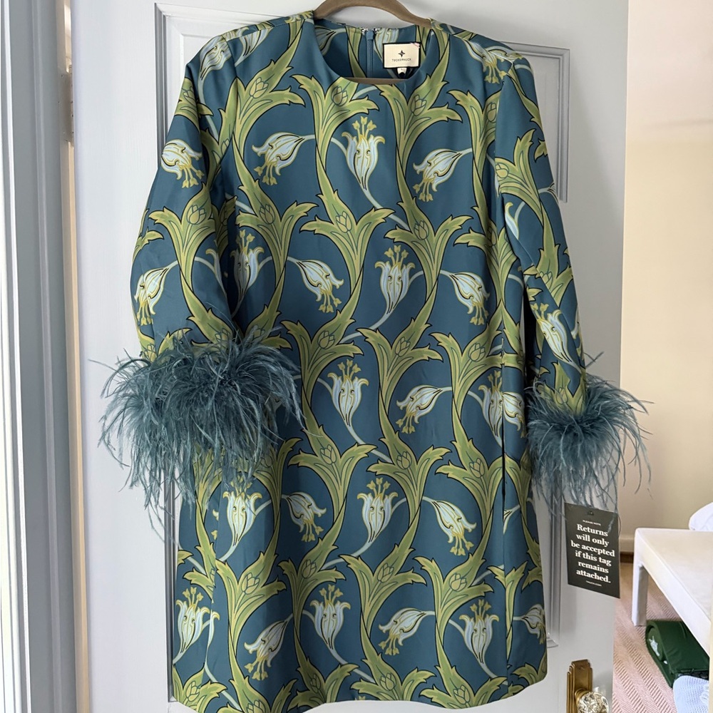 Tuckernuck dress with feather sleeves